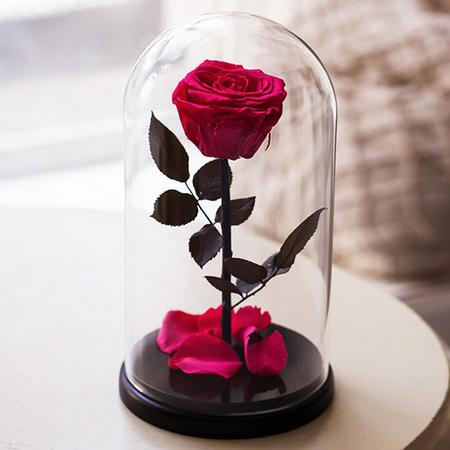 Розовая роза в колбе