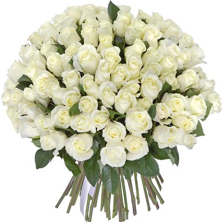 Букет из 75 роз белых 40 см